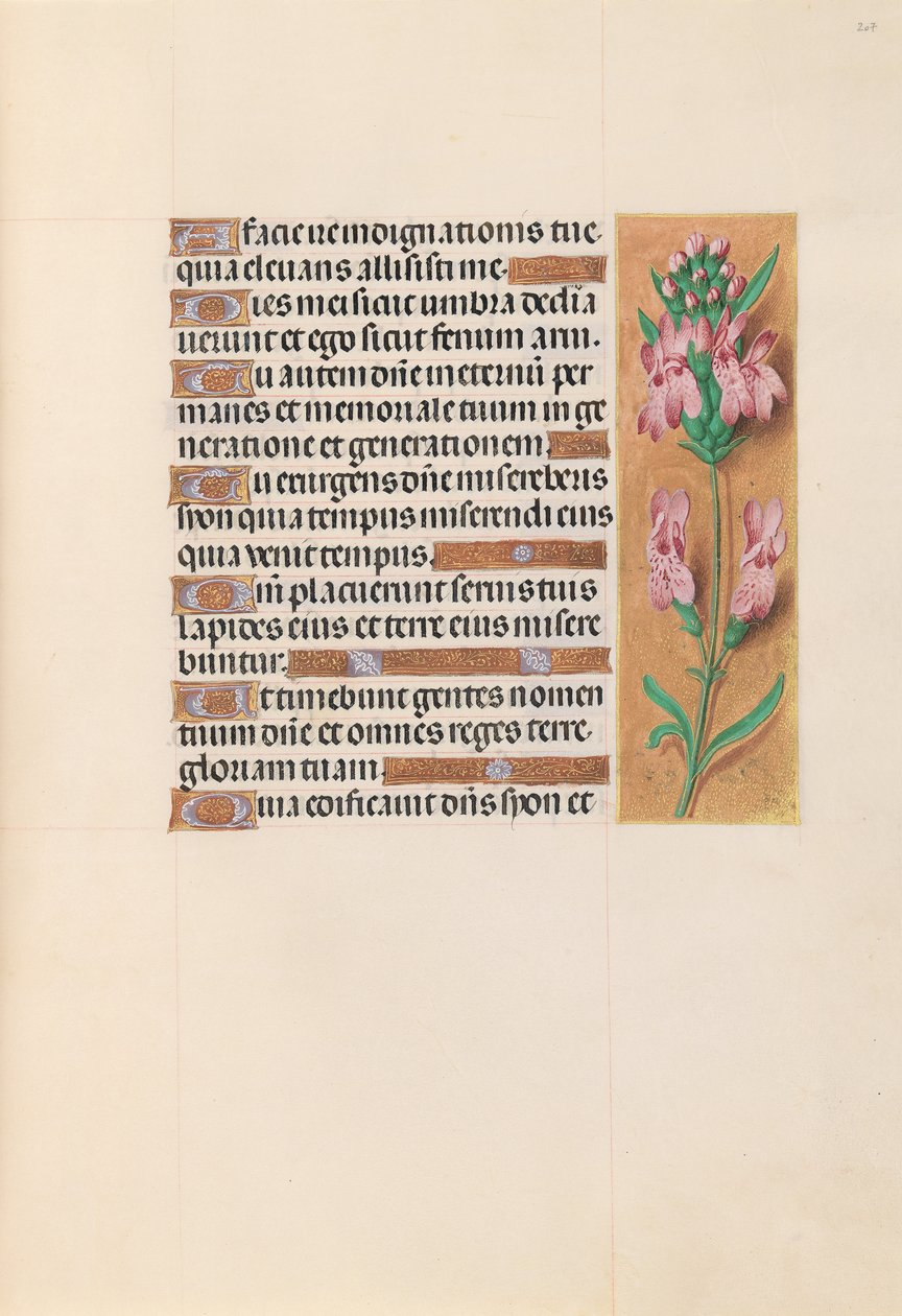 Hours of Dronning Isabella den Katolik, Dronning af Spanien: Fol. 207r, ca. 1500. af Master of the First Prayerbook of Maximillian
