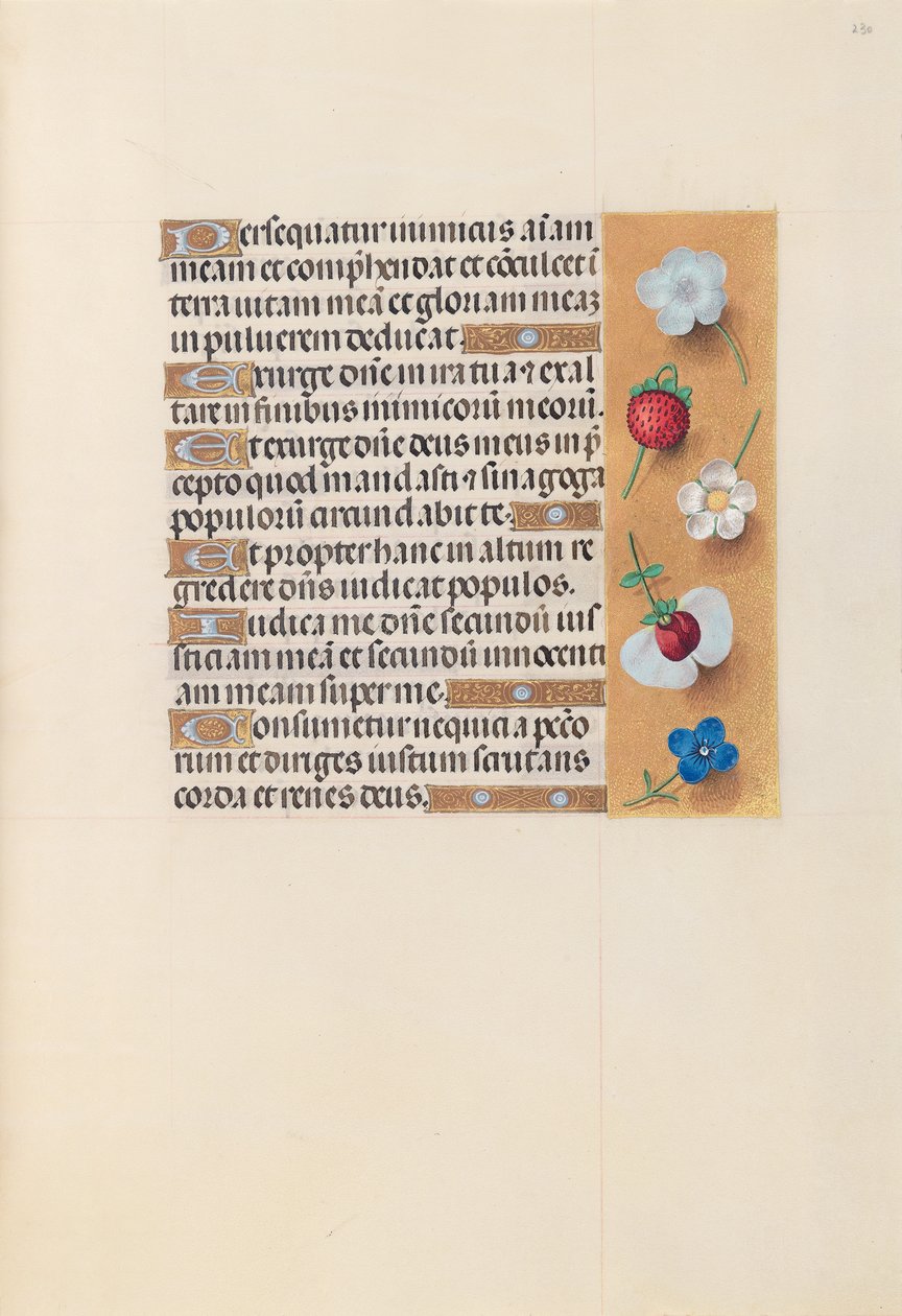 Hours of Dronning Isabella den Katolik, Dronning af Spanien: Fol. 230r, ca. 1500. af Master of the First Prayerbook of Maximillian