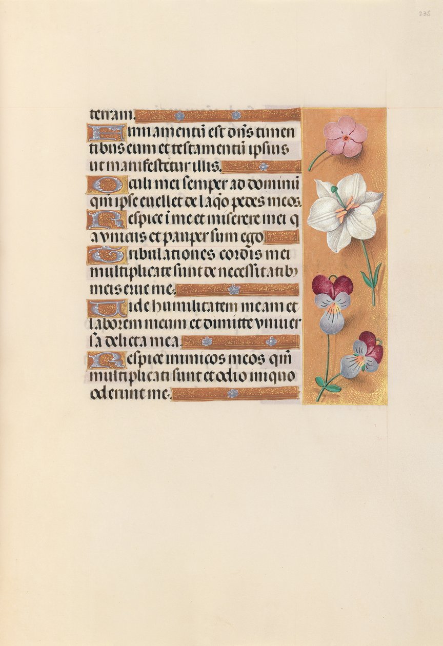 Dronning Isabella den katolske, dronning af Spaniens åbningstider: Fol. 235r, ca. 1500. af Master of the First Prayerbook of Maximillian