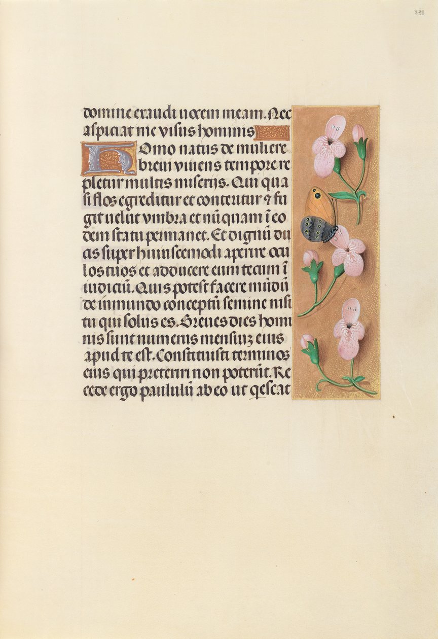 Hours of Dronning Isabella den Katolik, Dronning af Spanien: Fol. 238r, ca. 1500. af Master of the First Prayerbook of Maximillian