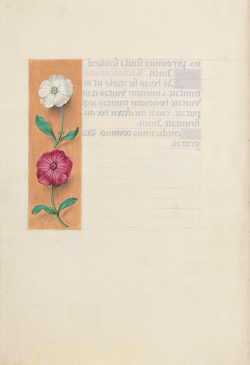 Dronning Isabella den Katolskes timer, dronning af Spanien:  Fol. 23v af Master of the First Prayerbook of Maximillian