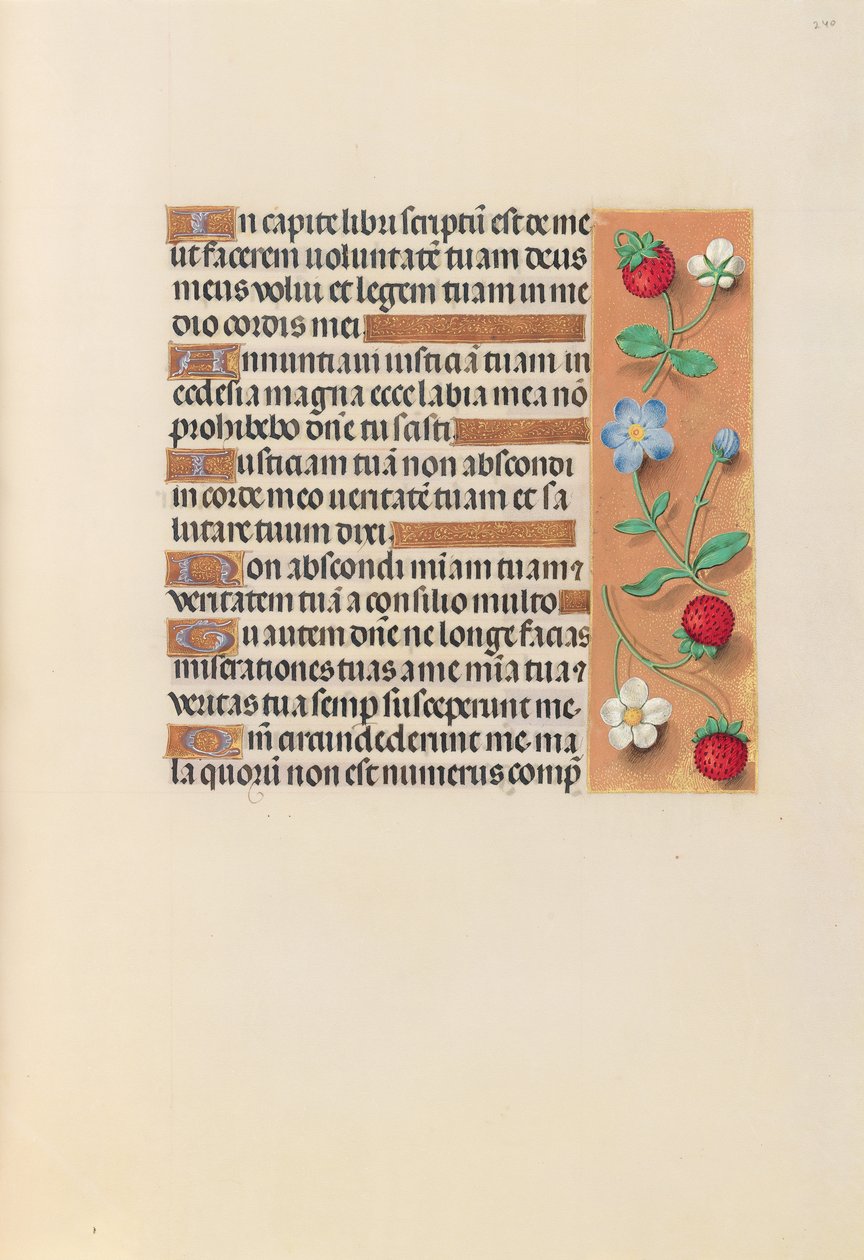 Hours of Dronning Isabella den Katolik, Dronning af Spanien: Fol. 240r, ca. 1500. af Master of the First Prayerbook of Maximillian