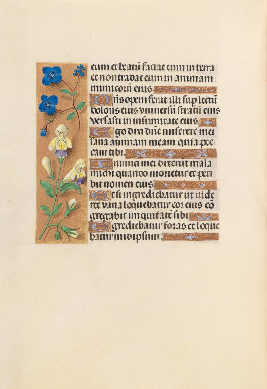Hours of Dronning Isabella den Katolik, Dronning af Spanien: Fol. 241v, ca. 1500. af Master of the First Prayerbook of Maximillian