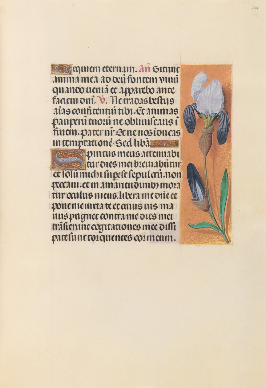 Hours of Dronning Isabella den Katolik, Dronning af Spanien: Fol. 244r, ca. 1500. af Master of the First Prayerbook of Maximillian
