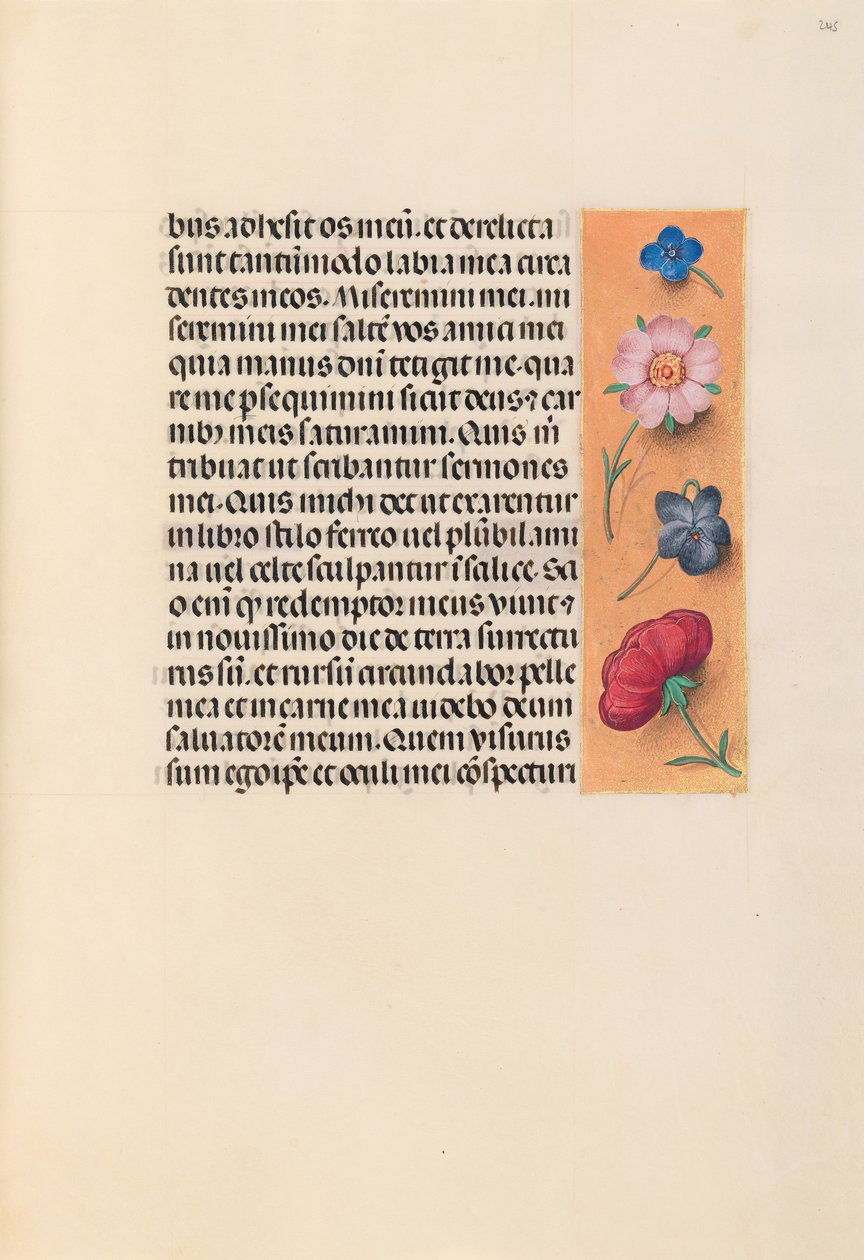 Hours of Dronning Isabella den Katolik, Dronning af Spanien: Fol. 245r, ca. 1500. af Master of the First Prayerbook of Maximillian