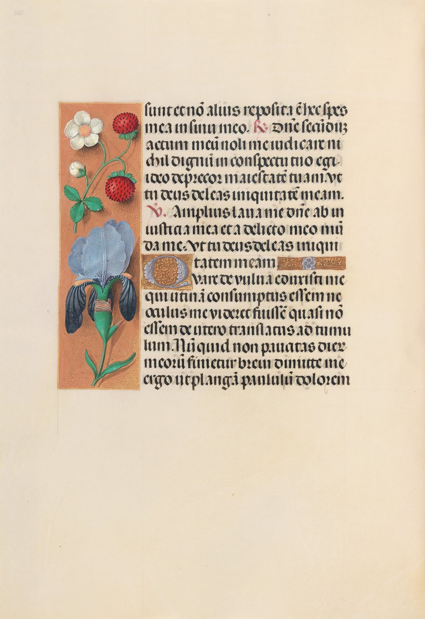 Hours of Dronning Isabella den Katolik, Dronning af Spanien: Fol. 245v, ca. 1500. af Master of the First Prayerbook of Maximillian
