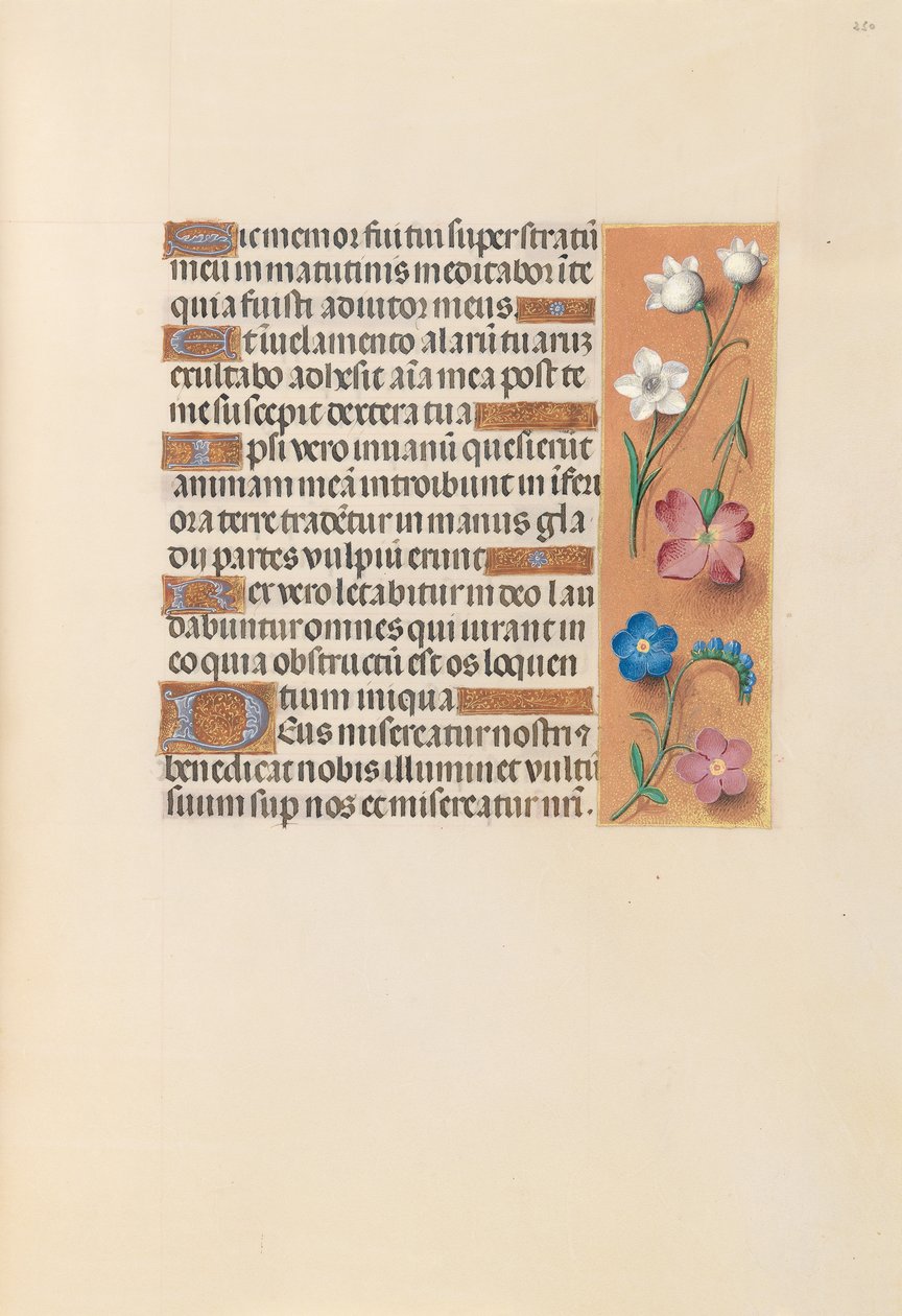 Dronning Isabella den katolske, dronning af Spaniens åbningstider: Fol. 250r, ca. 1500. af Master of the First Prayerbook of Maximillian