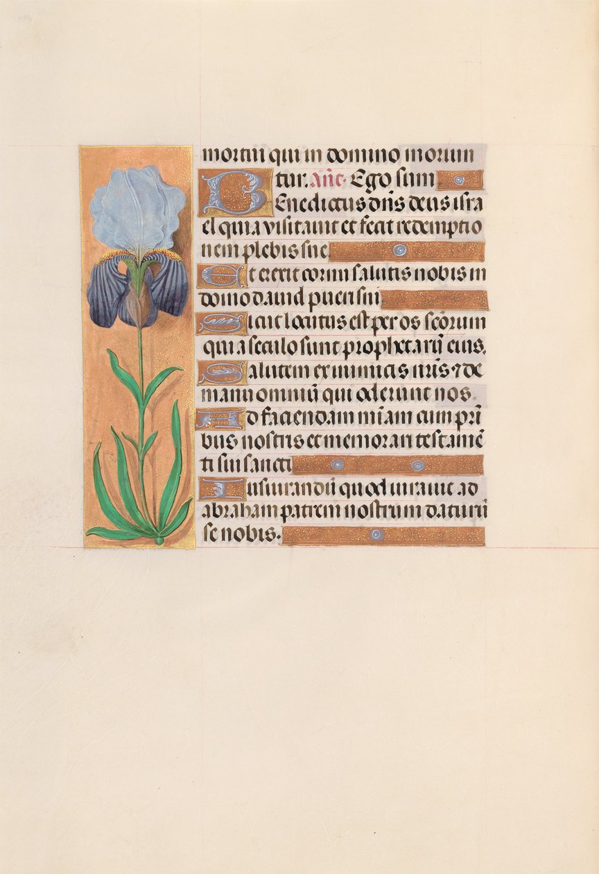 Hours of Dronning Isabella den Katolik, Dronning af Spanien: Fol. 254v, ca. 1500. af Master of the First Prayerbook of Maximillian
