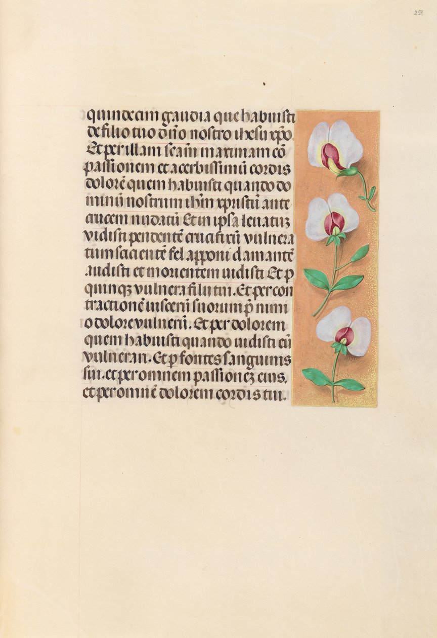 Dronning Isabella den katolske, dronning af Spaniens åbningstider: Fol. 259r, ca. 1500. af Master of the First Prayerbook of Maximillian