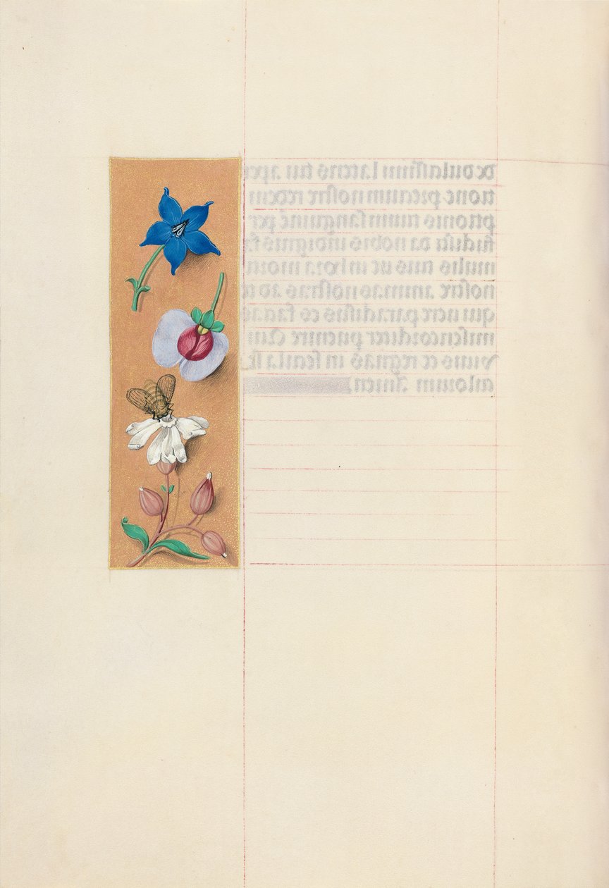 Hours of Dronning Isabella den Katolik, Dronning af Spanien: Fol. 71v, c. 1500. af Master of the First Prayerbook of Maximillian