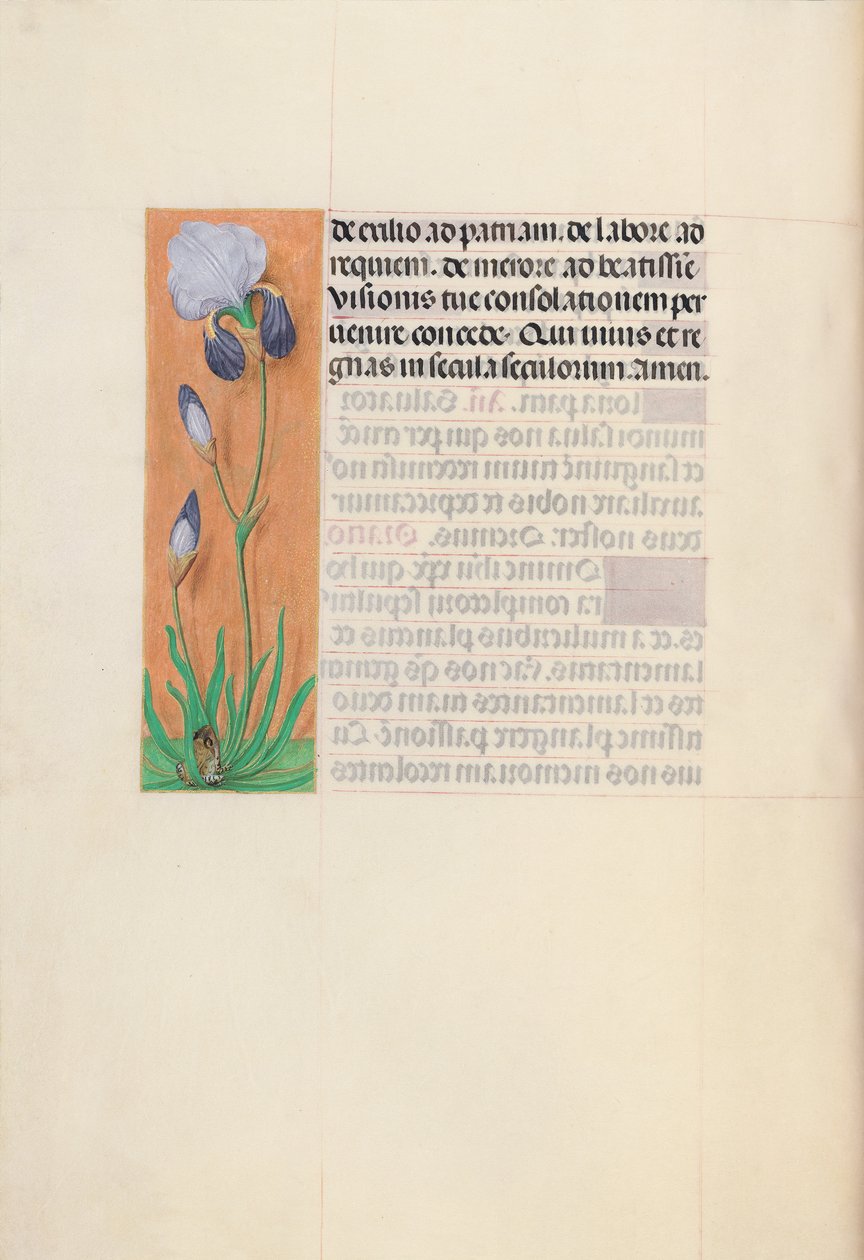 Dronning Isabella den katolske, dronning af Spaniens åbningstider: Fol. 79v, ca. 1500. af Master of the First Prayerbook of Maximillian