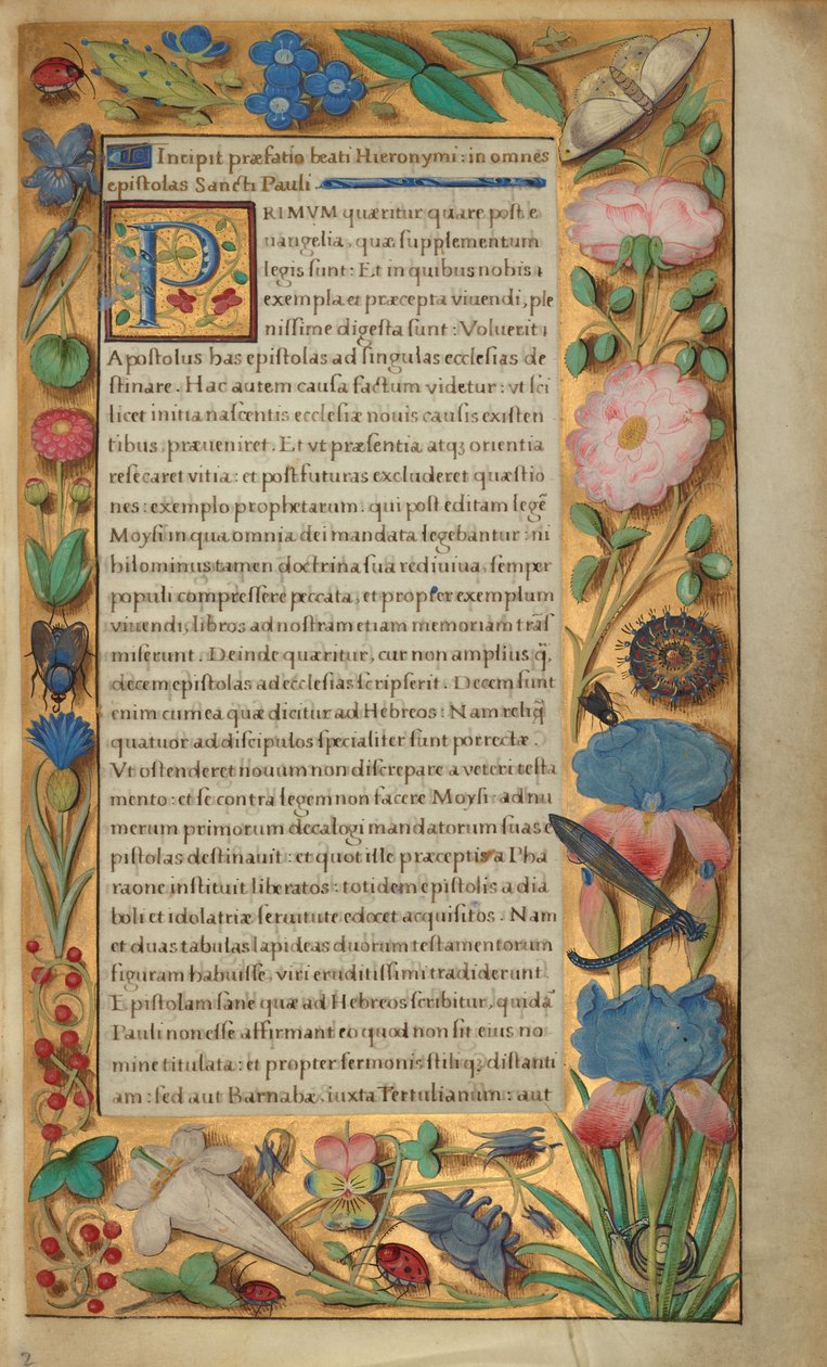 Dekoreret tekstside af Master of the Getty Epistles