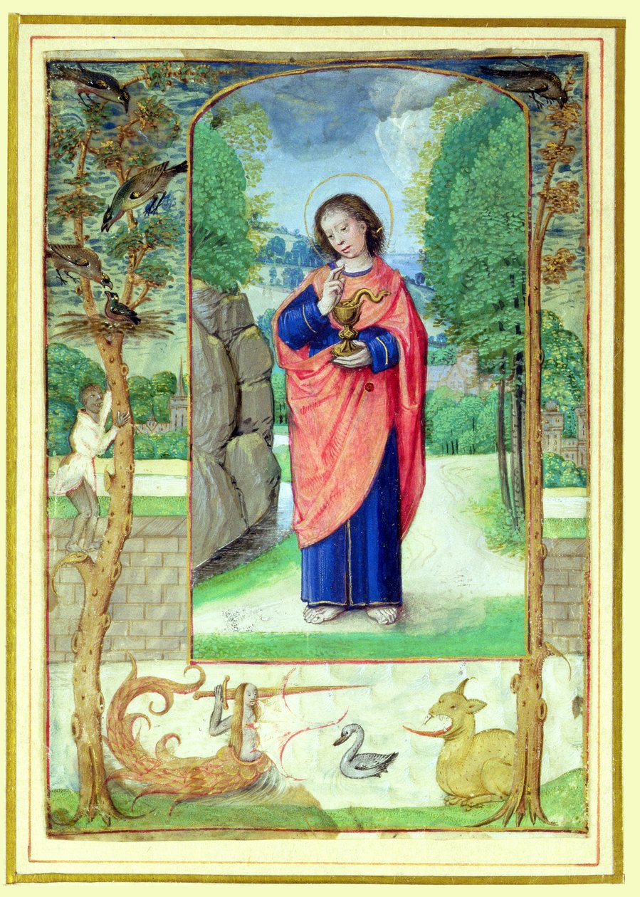 Johannes evangelisten, fra en timebog af Master of the Prayerbook