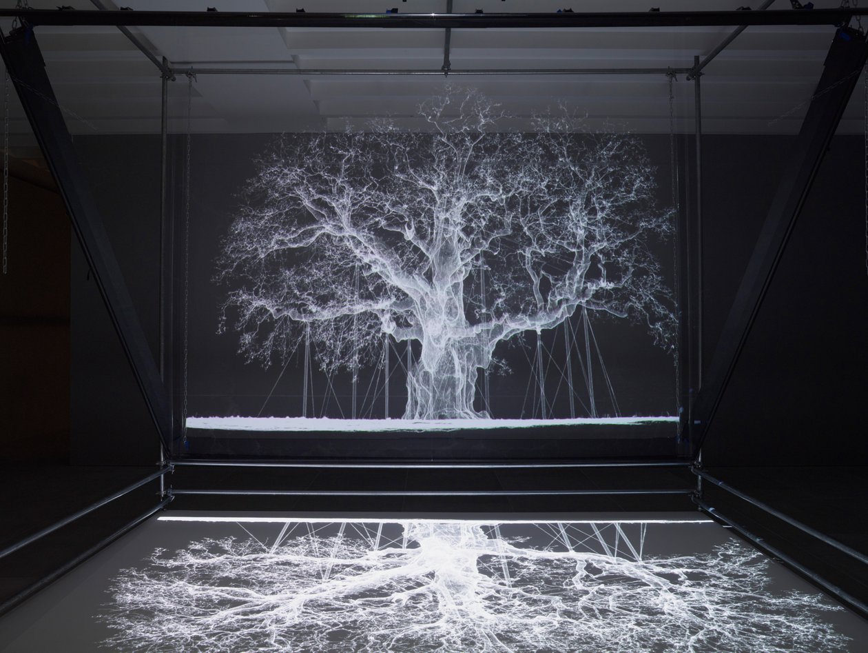 Albion, 2017 (Projektor, medieafspiller, stillads, transparent film, træ, maling, spejl, tilbehør til udspænding) af Mat Collishaw