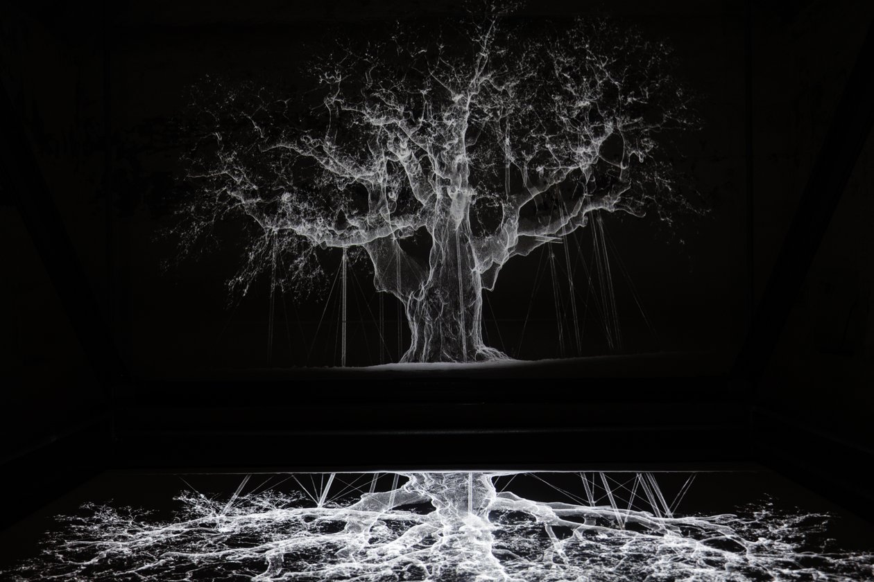 Albion, 2017 (Projektor, medieafspiller, stillads, transparent film, træ, maling, spejl, tilbehør til udspænding) af Mat Collishaw