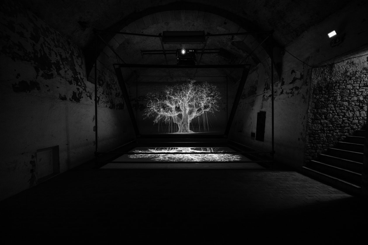 Albion, 2017 (Projektor, medieafspiller, stillads, transparent film, træ, maling, spejl, tilbehør til udspænding) af Mat Collishaw