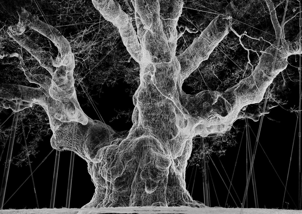 Albion, 2017 (Projektor, medieafspiller, stillads, transparent film, træ, maling, spejl, tilbehør til udspænding) af Mat Collishaw