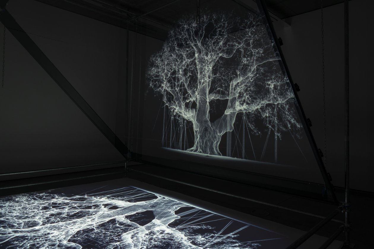 Albion, 2017 (Projektor, medieafspiller, stillads, transparent film, træ, maling, spejl, tilbehør til udspænding) af Mat Collishaw
