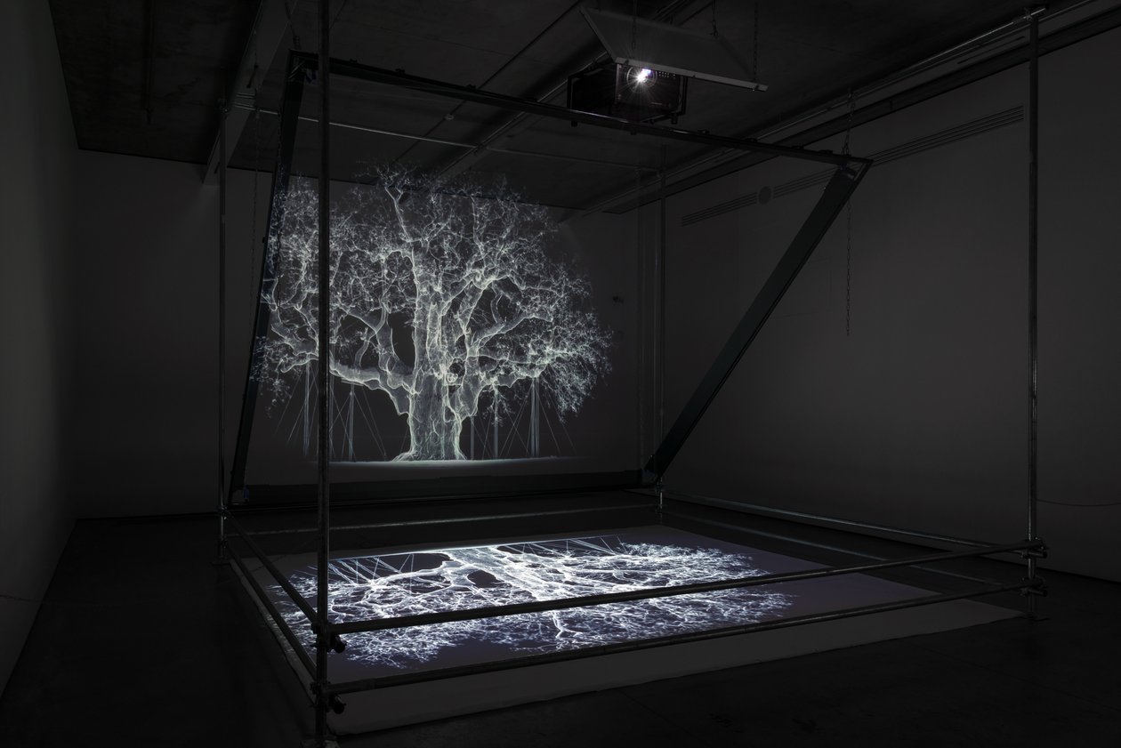 Albion, 2017 (Projektor, medieafspiller, stillads, transparent film, træ, maling, spejl, tilbehør til udspænding) af Mat Collishaw
