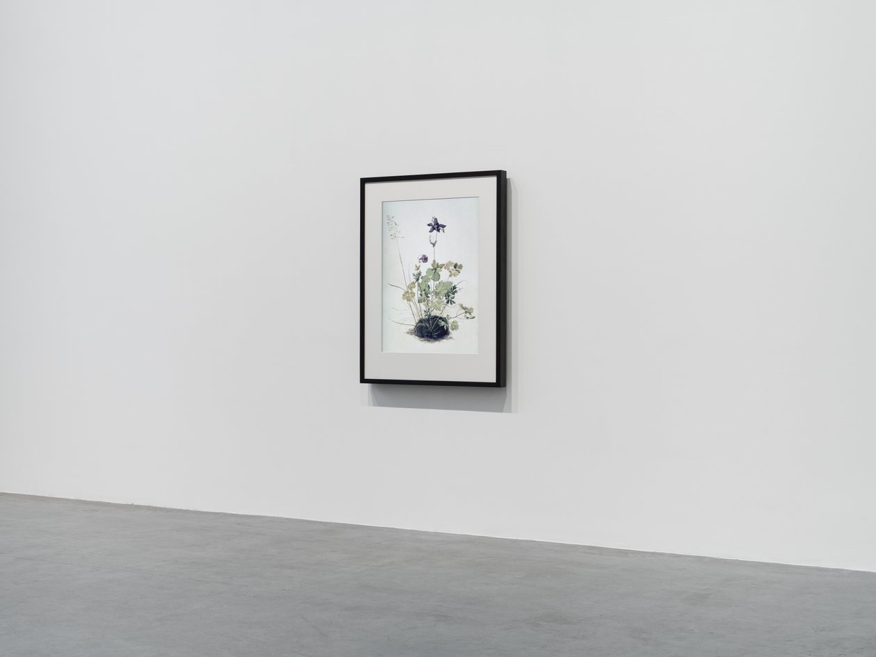 Columbine, 2018 (Træramme, kant, LCD-skærm, ventilator og medieafspiller) af Mat Collishaw