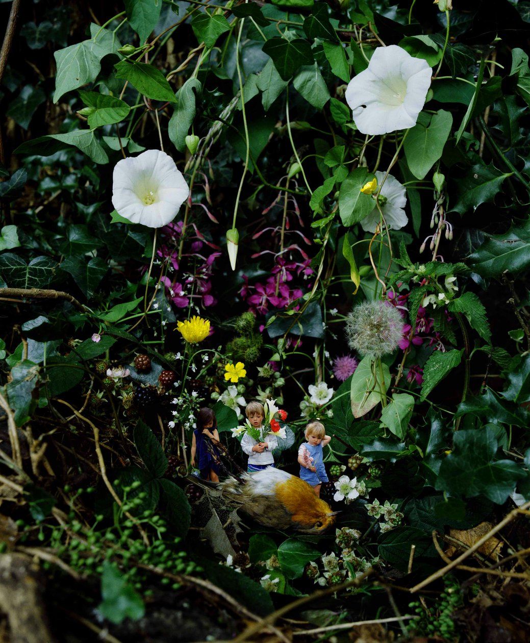 Toldfri spiritus af Mat Collishaw
