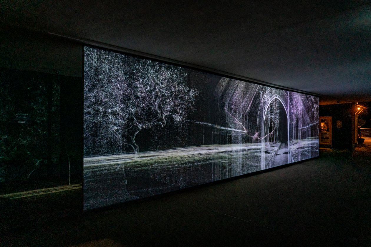 Echolocation, 2021 (3-kanals videoprojektion på polypropylen-net) af Mat Collishaw