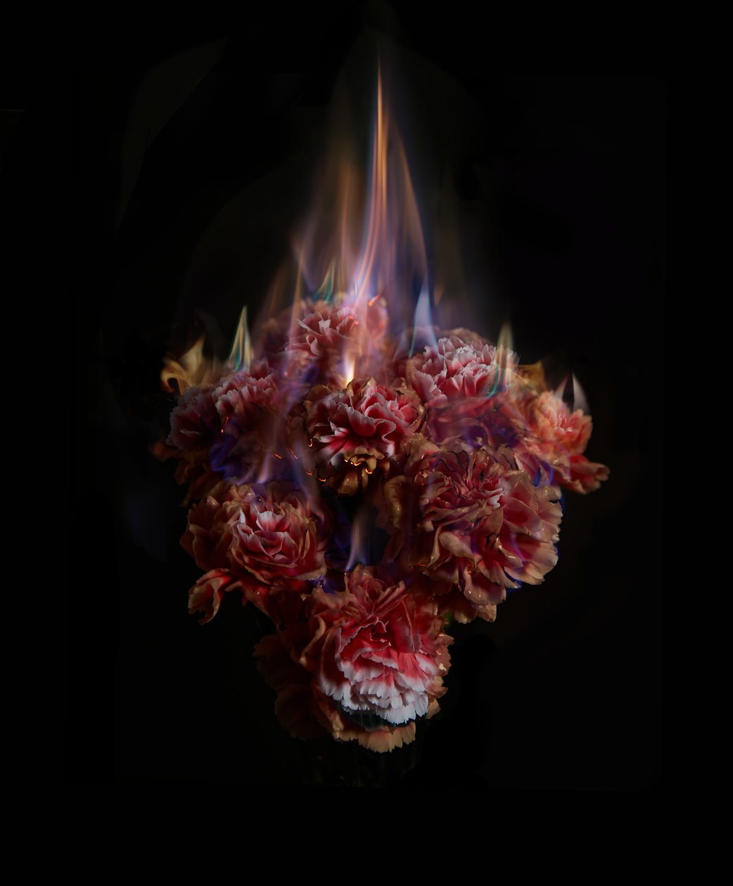 Fading Memories of the Sun, 2013 (C-type fotografi) af Mat Collishaw