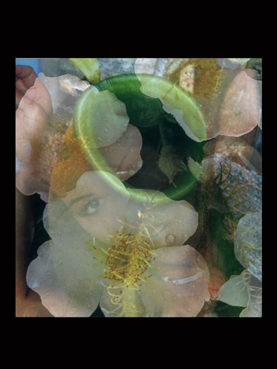 Flesheaters 2 af Mat Collishaw