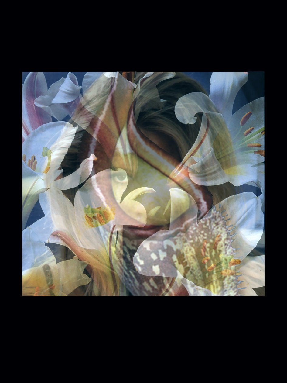 Flesheaters 3 af Mat Collishaw