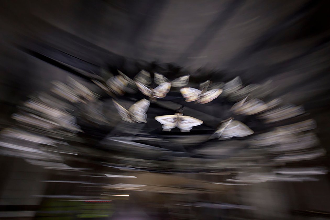 Magic Lantern, 2010 (Stålramme, perforeret aluminiumsplade, ekspanderet harpiks, LED-lys, motor) af Mat Collishaw