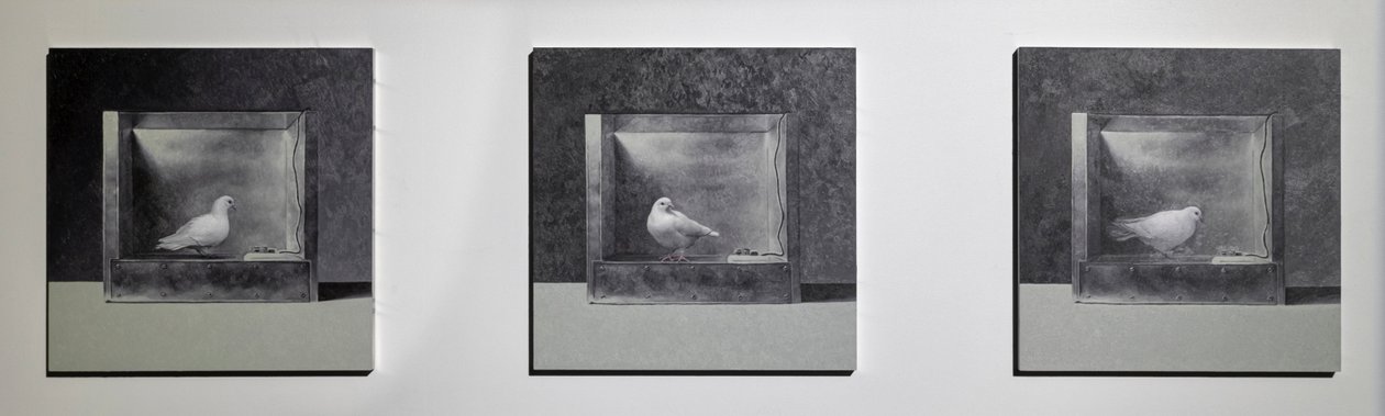 Operant Conditioning Chamber 3, 2022 (olie på aluminiumspanel) af Mat Collishaw