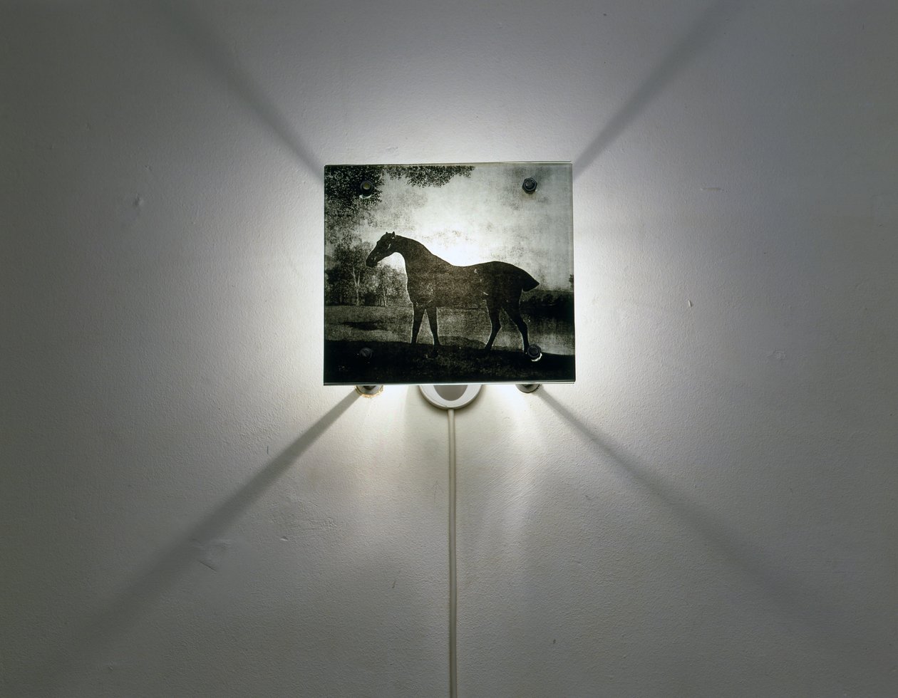 Stubbs heste af Mat Collishaw