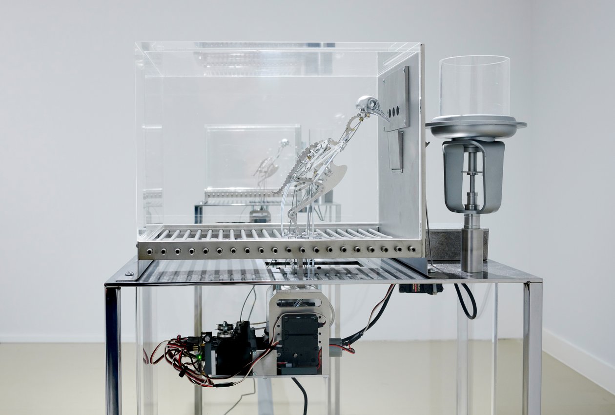 The Machine Zone, 2019 (Stål, aluminium, servomotorer) af Mat Collishaw