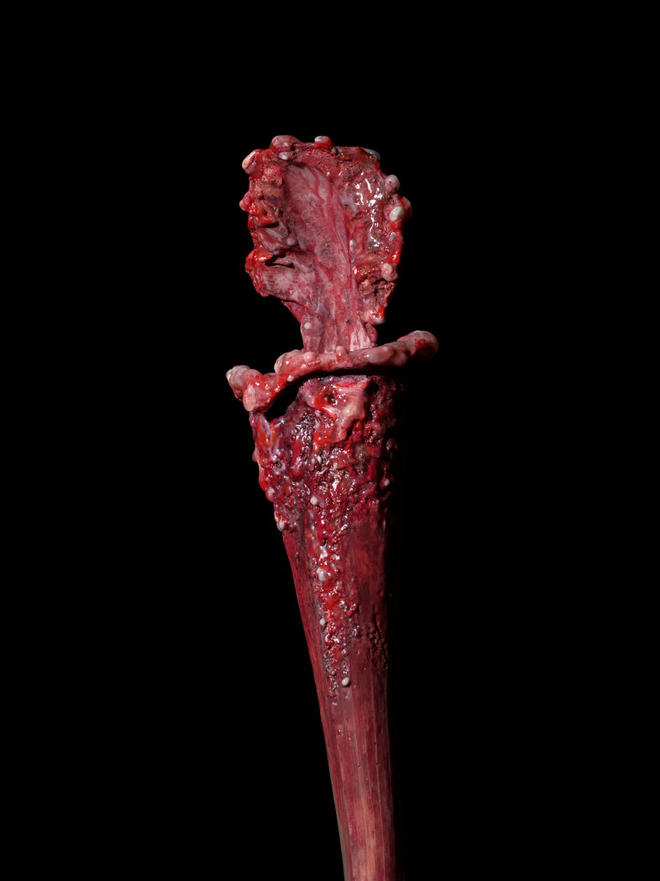 The Venal Muse, Fenside, 2012 (Harpiks, emaljemaling, træ, glas, stål) af Mat Collishaw