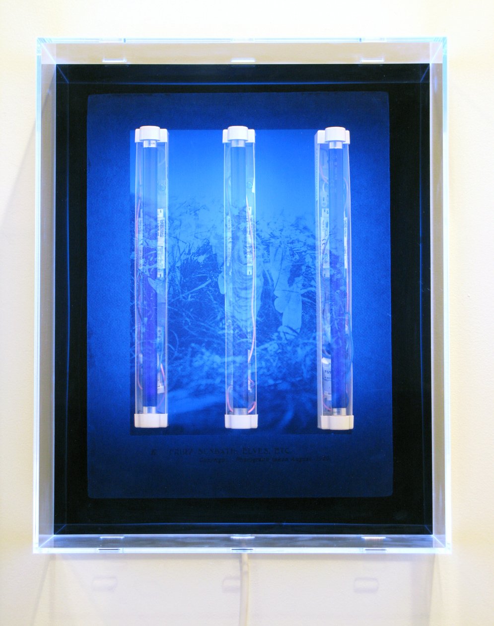 UV Garden, Fairy, Sunbath, Elves, Etc., 2008 (Silketryk på akryl, UV-lys og lysarmaturer) af Mat Collishaw