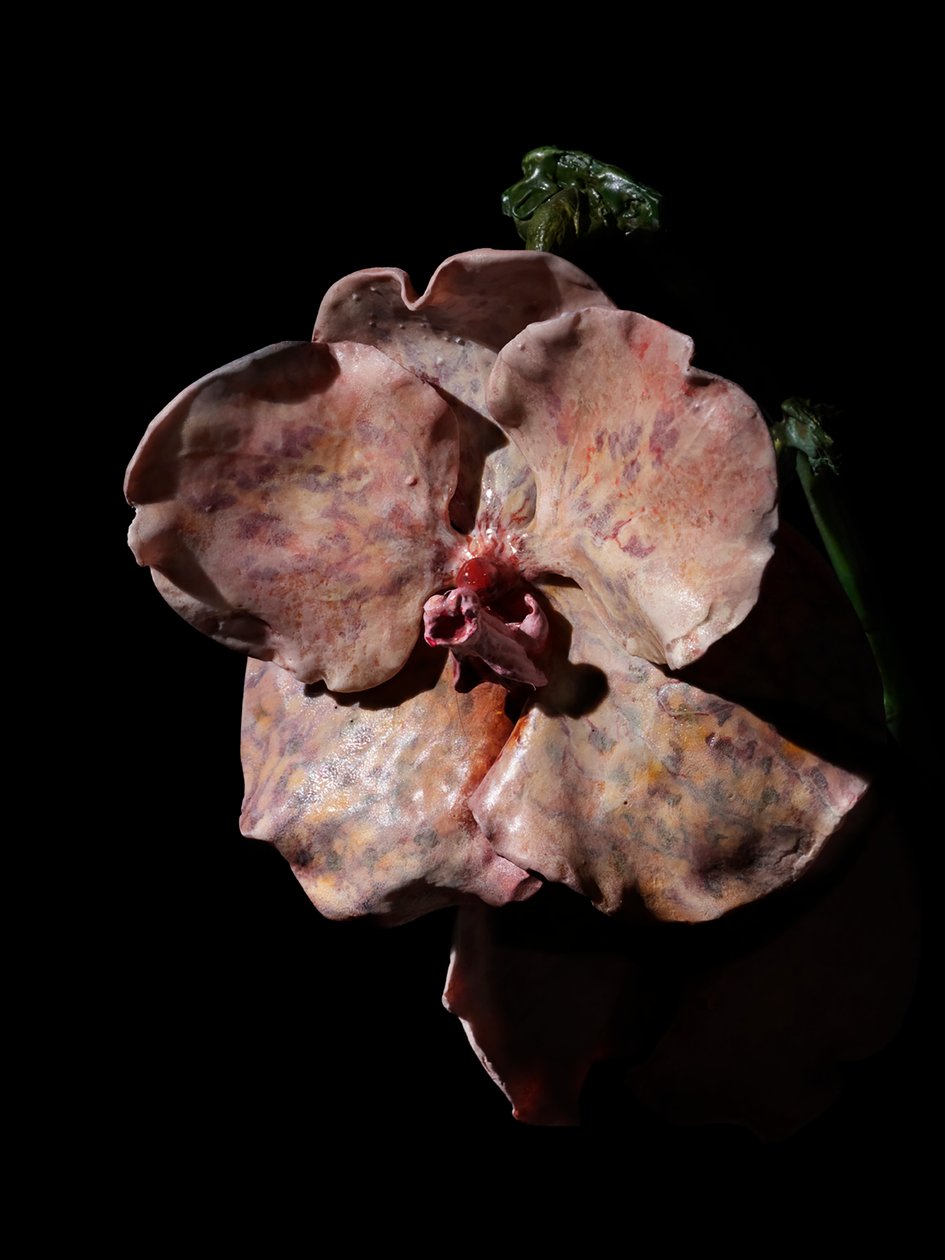 Venal Muse, Impetus, 2012 (Harpiks, emaljemaling, træ, glas, stål) af Mat Collishaw