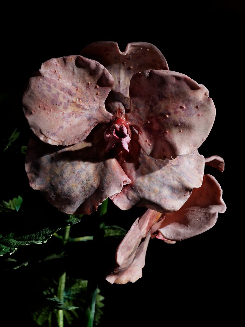 Venal Muse, Impetus, 2012 (Harpiks, emaljemaling, træ, glas, stål) af Mat Collishaw
