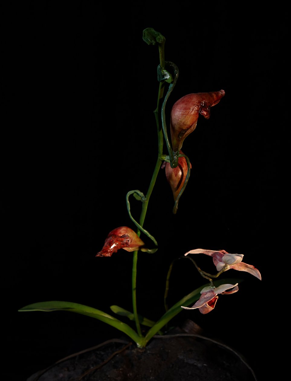 Venal Muse, Lafage, 2012 (Harpiks, emaljemaling, træ, glas, stål) af Mat Collishaw