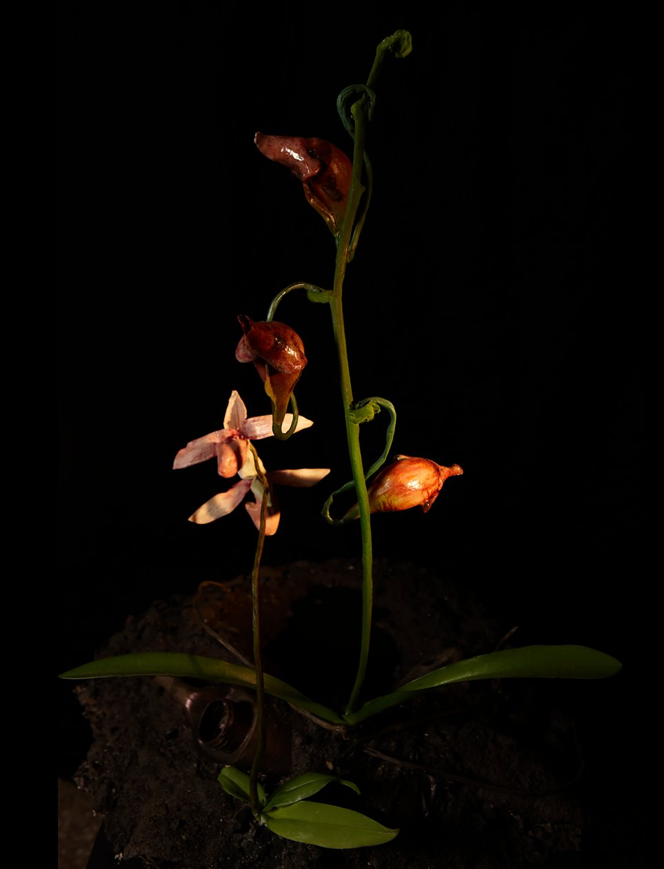 Venal Muse, Lafage, 2012 (Harpiks, emaljemaling, træ, glas, stål) af Mat Collishaw