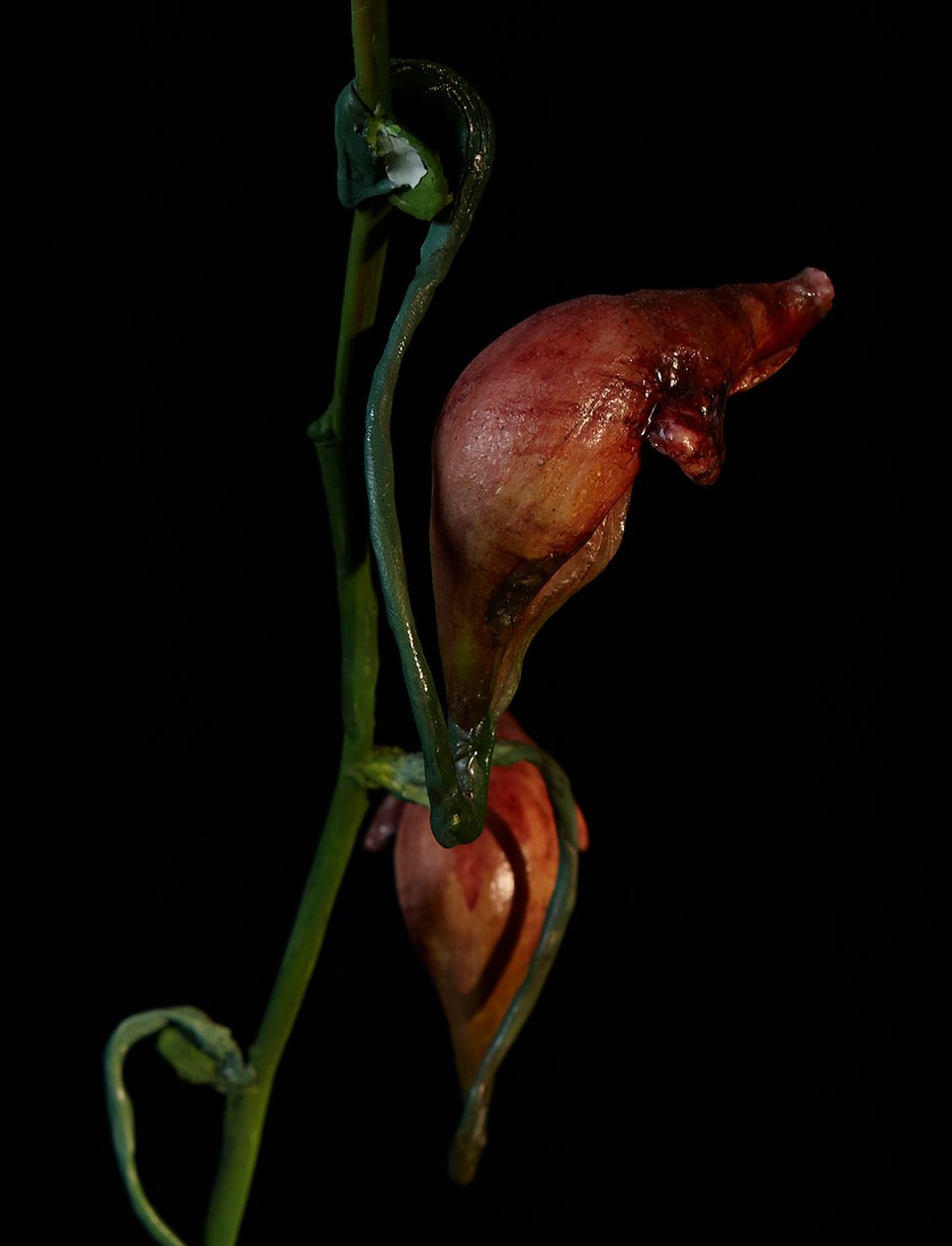 Venal Muse, Lafage, 2012 (Harpiks, emaljemaling, træ, glas, stål) af Mat Collishaw