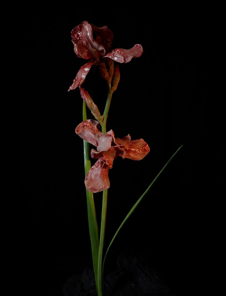 Venal Muse, Viridor, 2012 (Harpiks, emaljemaling, træ, glas, stål) af Mat Collishaw