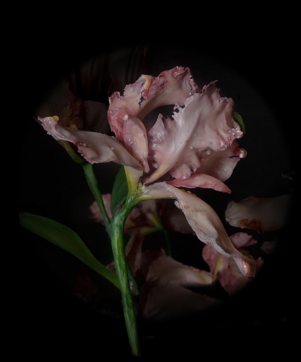 Venal Muse, Viridor, 2012 (Harpiks, emaljemaling, træ, glas, stål) af Mat Collishaw
