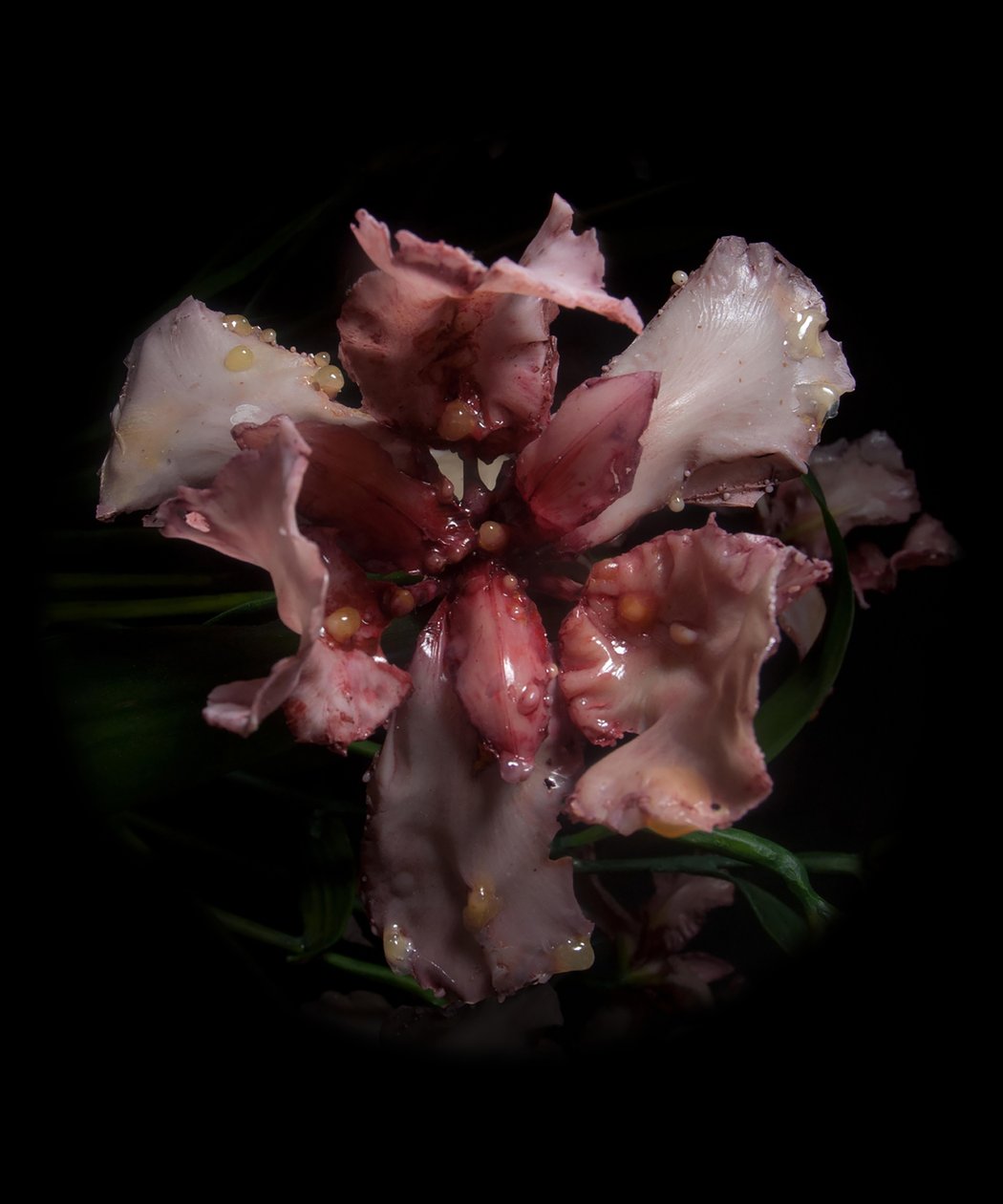 Venal Muse, Viridor, 2012 (Harpiks, emaljemaling, træ, glas, stål) af Mat Collishaw
