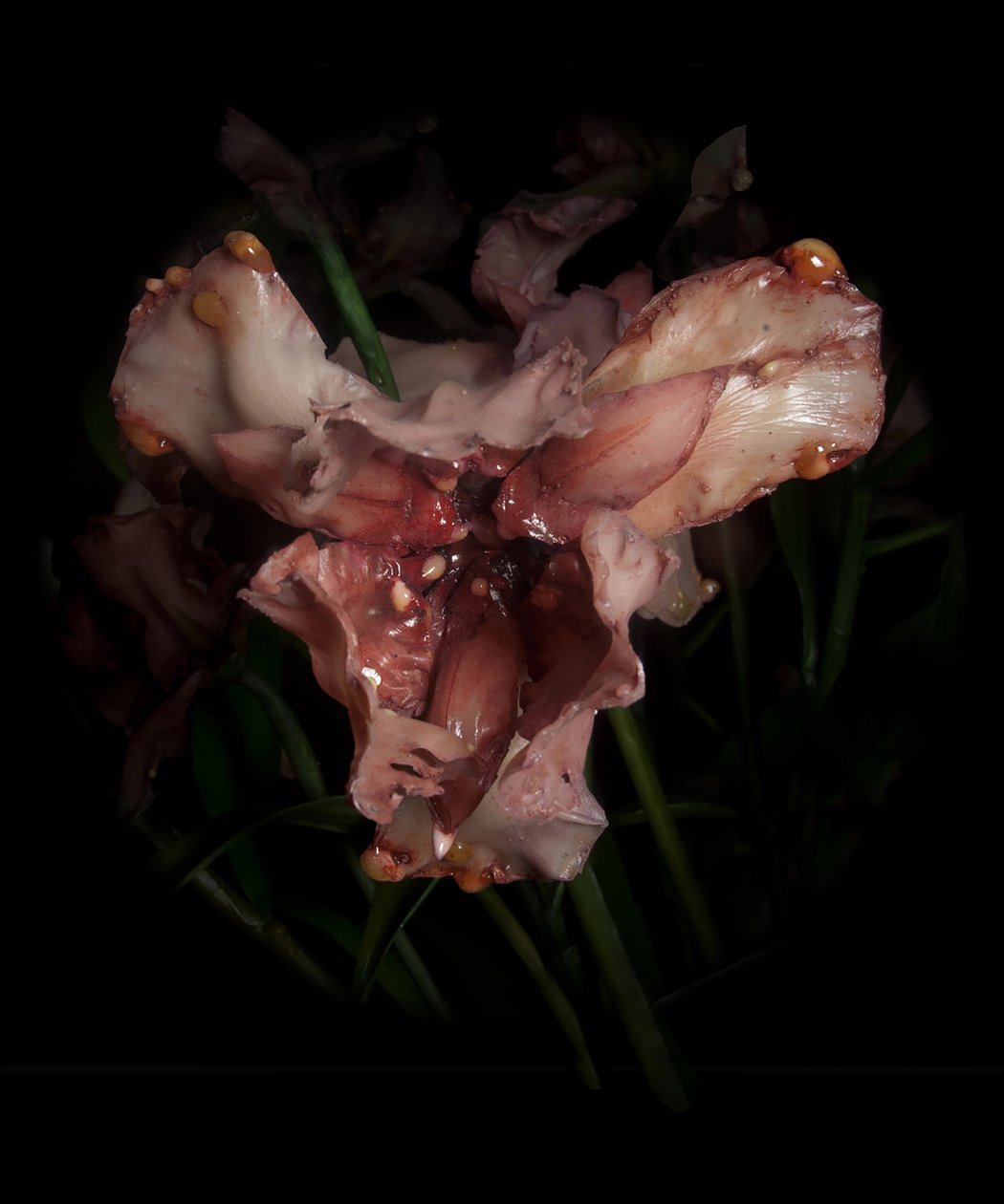 Venal Muse, Viridor, 2012 (Harpiks, emaljemaling, træ, glas, stål) af Mat Collishaw