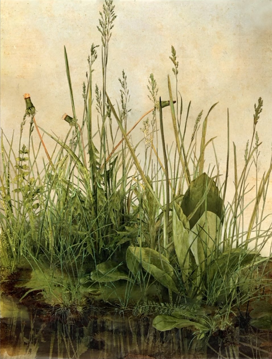 Whispering Weeds, 2011 (Træramme, kant, LCD-skærm, ventilator og harddisk) af Mat Collishaw