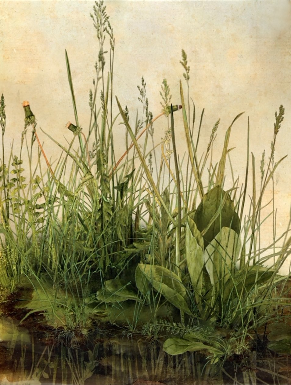 Whispering Weeds, 2011 (Træramme, kant, LCD-skærm, ventilator og harddisk) af Mat Collishaw