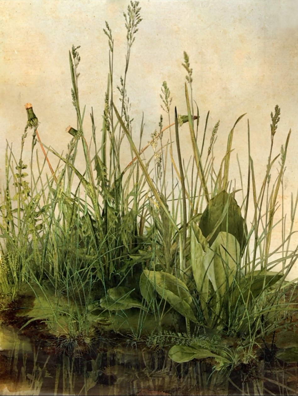 Whispering Weeds, 2011 (Træramme, kant, LCD-skærm, ventilator og harddisk) af Mat Collishaw