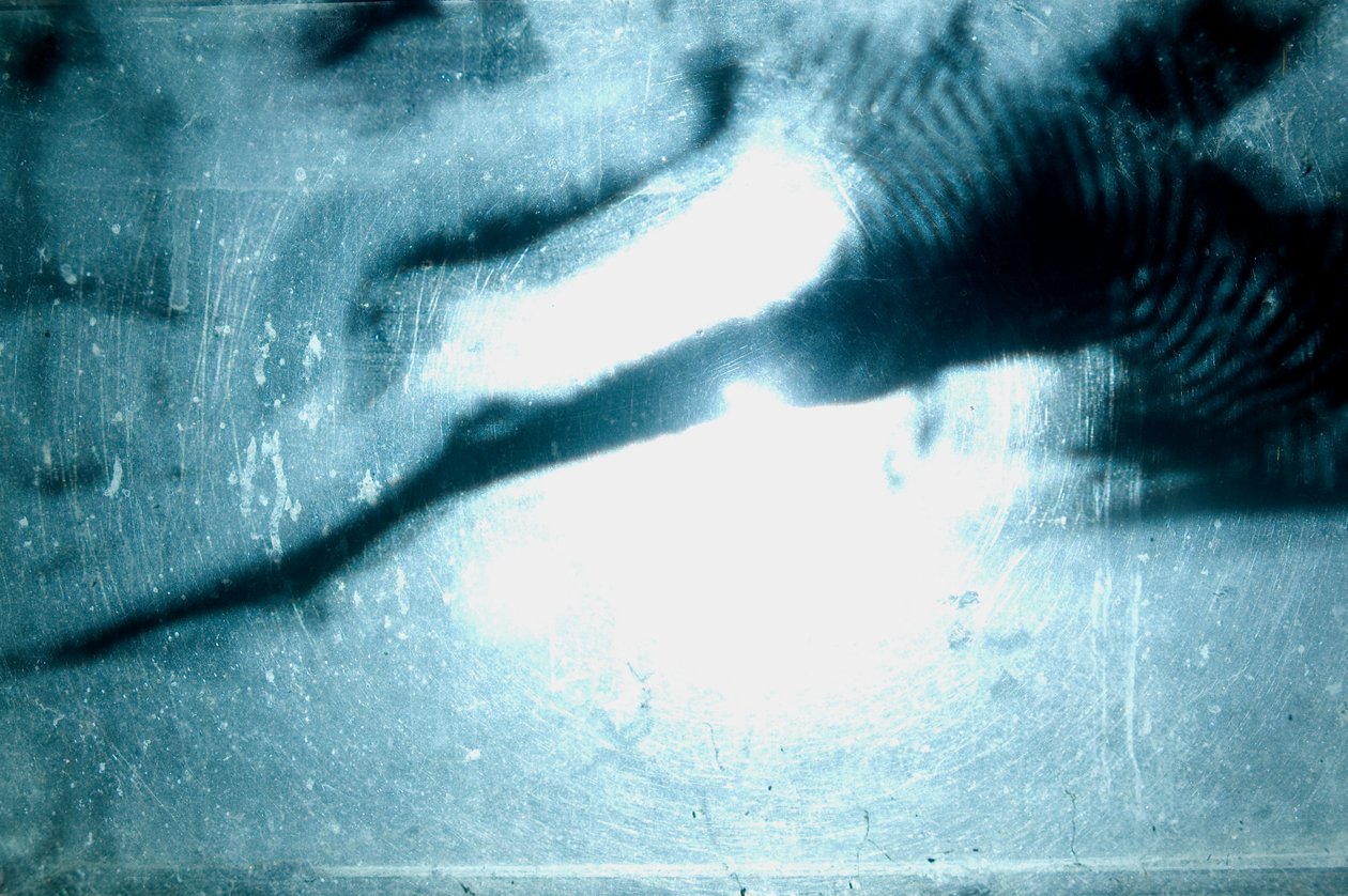 Wormery, 2009 (Træ, glas, stål, projektor og afspiller) af Mat Collishaw