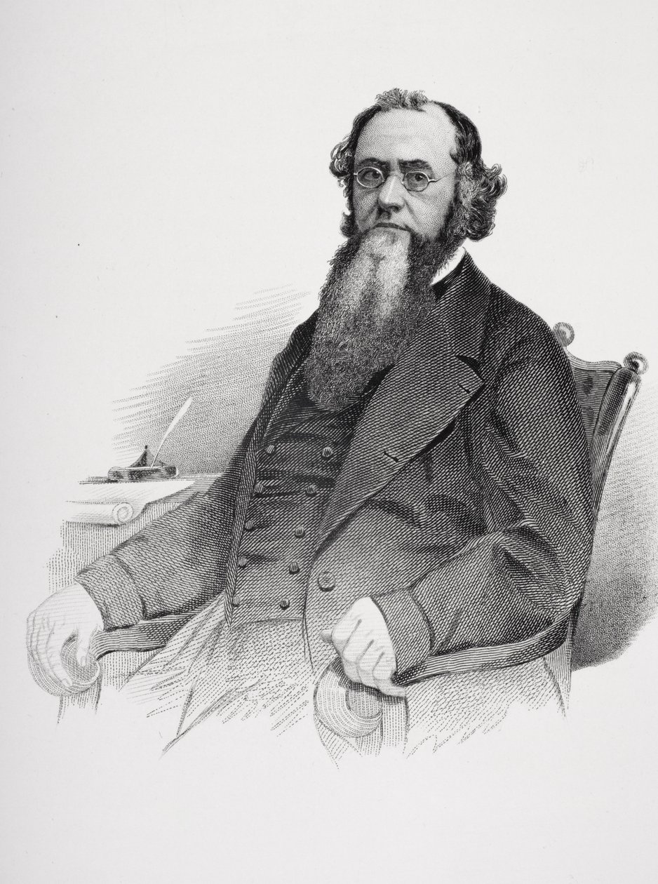 Portræt af Edwin M. Stanton (1814-69) af Mathew B. Brady