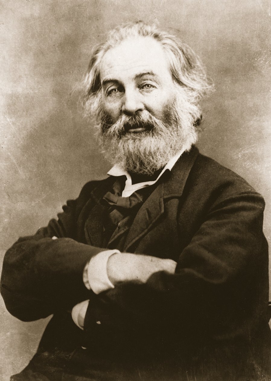 Walt Whitman (fotogravure) af Mathew B. Brady
